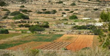 sporting-facilities-pr