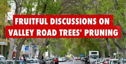 valley-road-trees-pruning